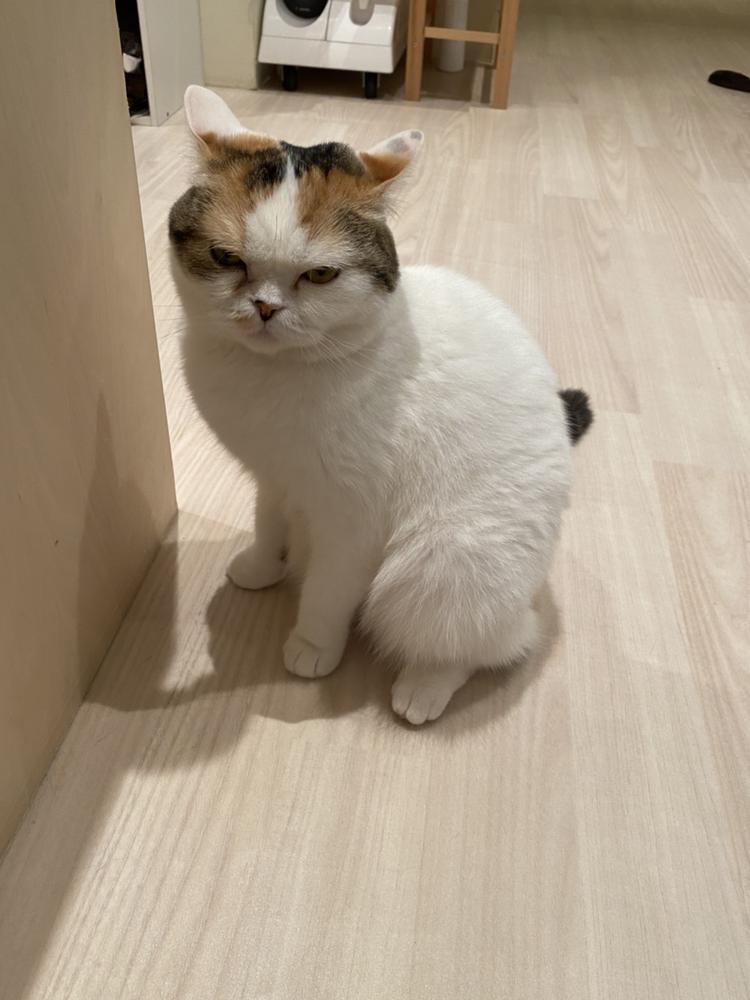 塩対応
