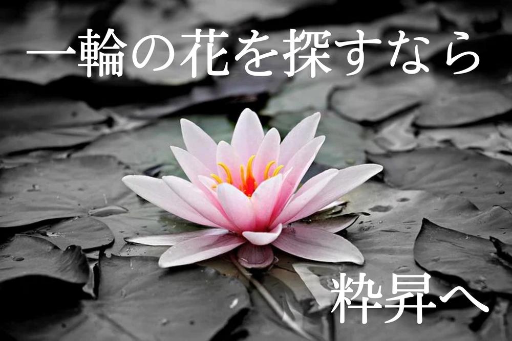 いるのかなー??w